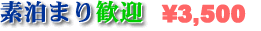 �f���芽�}�@3���l�ȏ㕽��3,000�~���